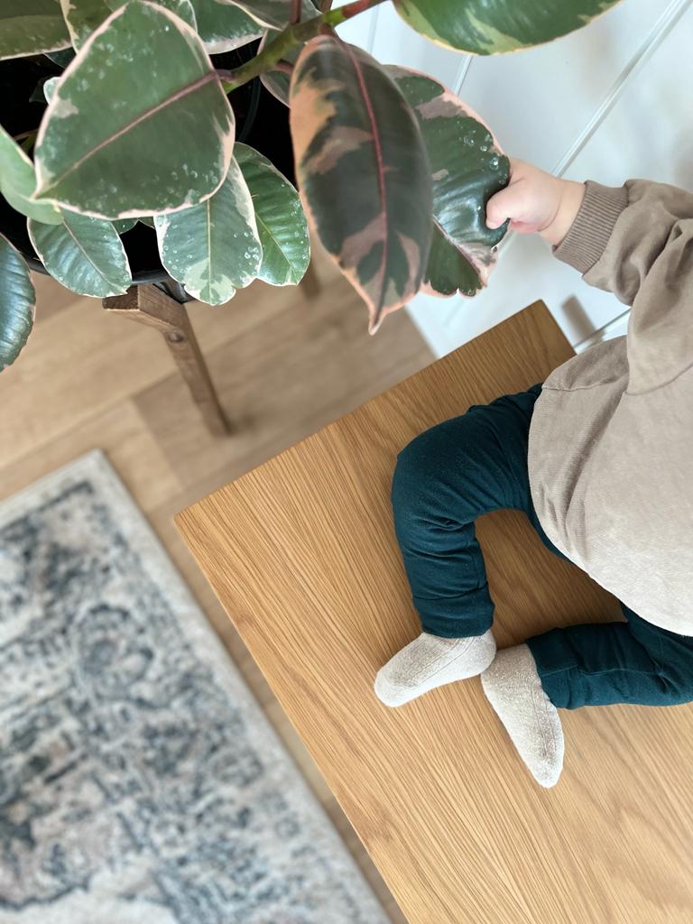 Harem Pants - Baby & Toddler