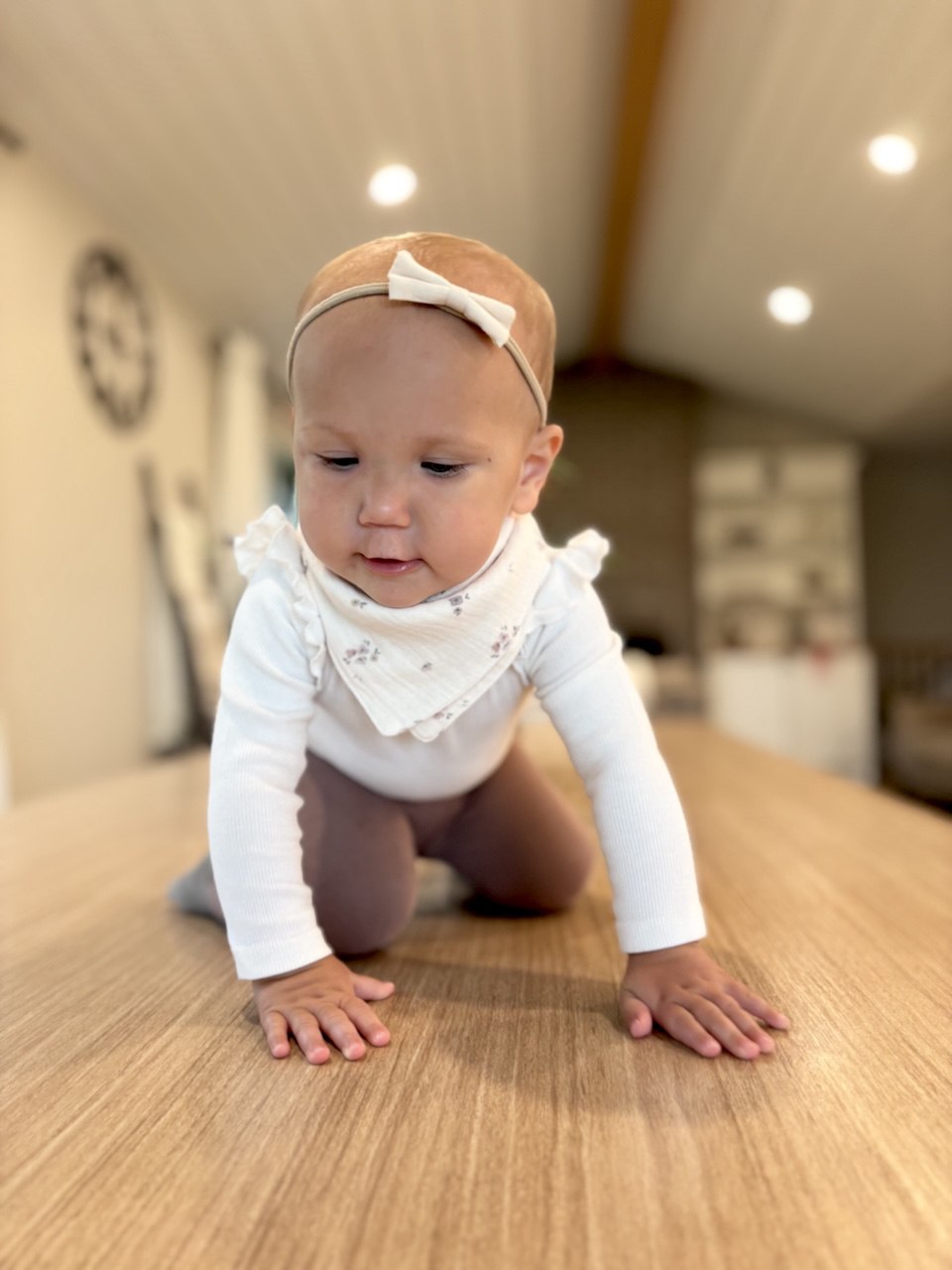 Organic Muslin Bib